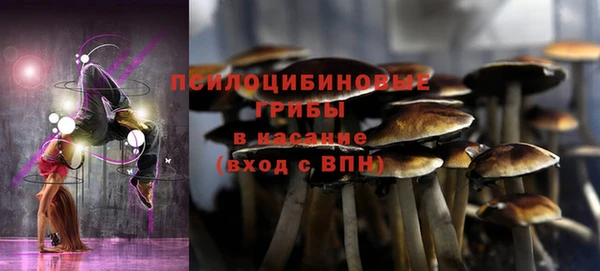 дживик Осинники