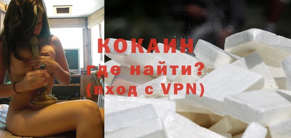 дживик Осинники