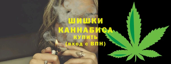 PSILOCYBIN Весьегонск