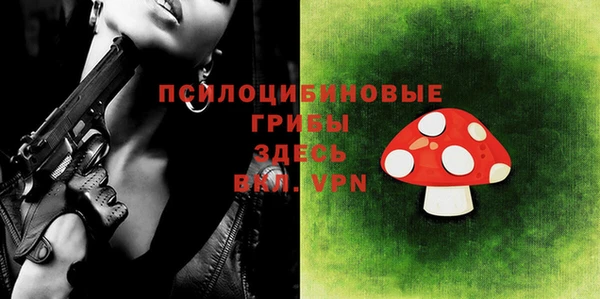 дживик Осинники