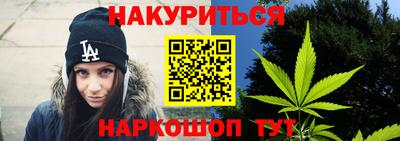 a pvp Бийск