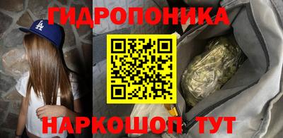 a pvp Бийск