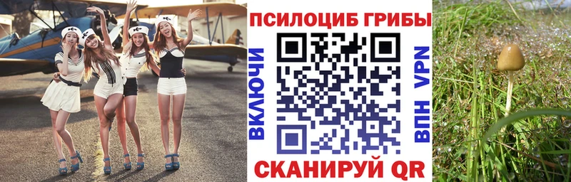 Галлюциногенные грибы мухоморы хочу наркоту Богородск