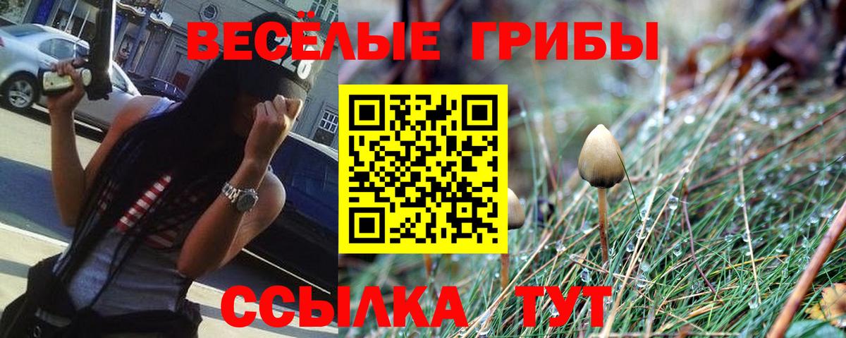 Богородск  Псилоцибиновые грибы мухоморы  Вход с VPN 