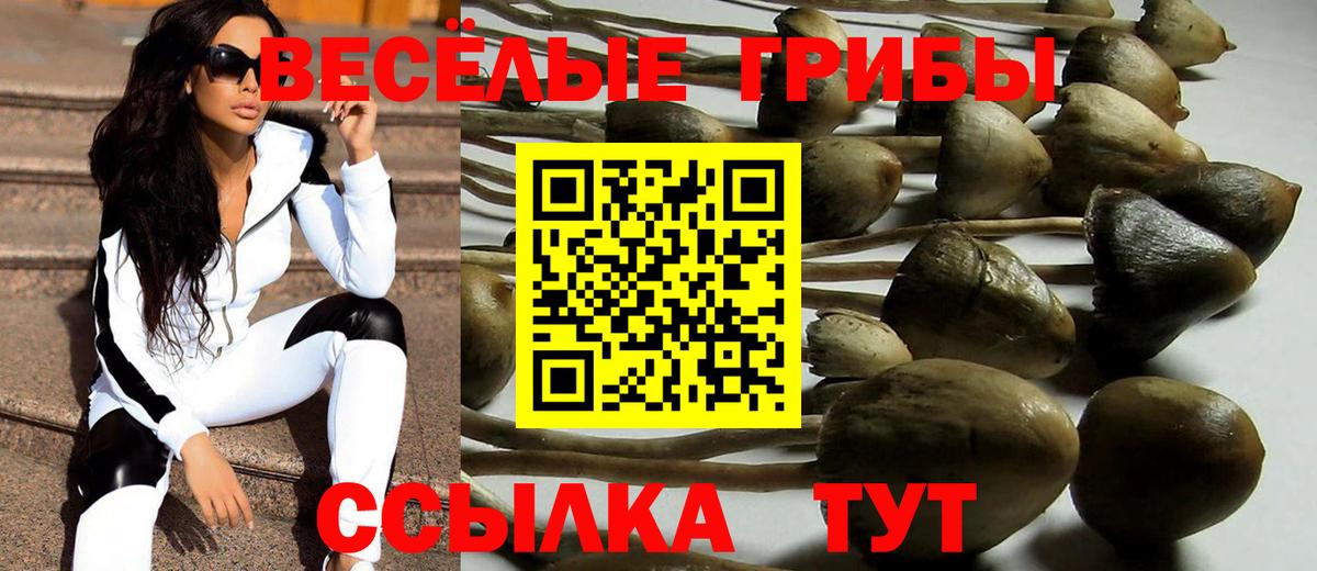 Галлюциногенные грибы Psilocybine cubensis Богородск