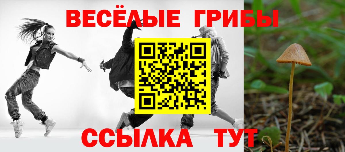 Псилоцибиновые грибы MAGIC MUSHROOMS Богородск