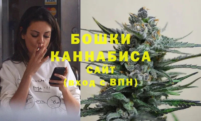 Конопля THC 21%  как найти наркотики  Богородск 